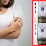 How to Make a Home made Mosquito Trap